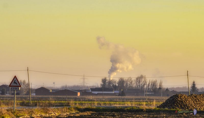 El ciervo el vapor y la remolacha bajo el cuervo Reducc.jpg